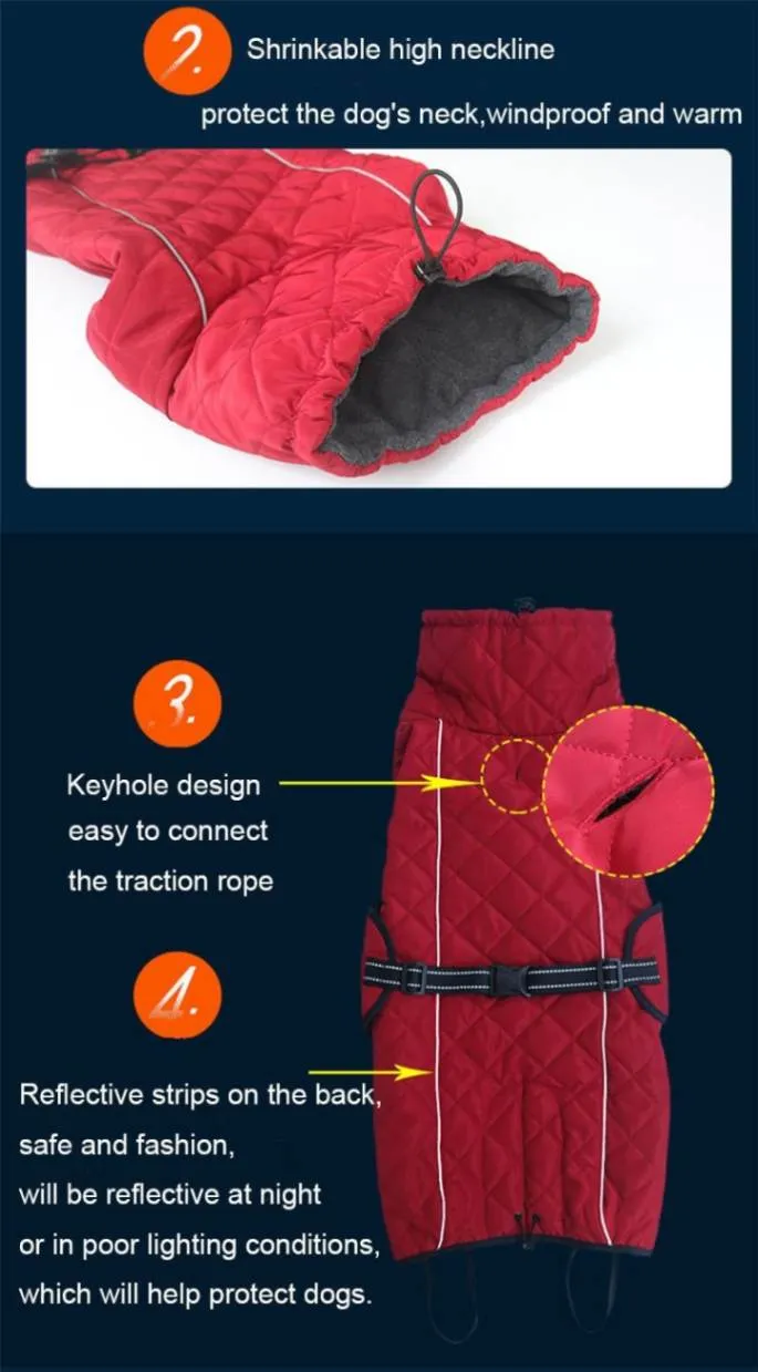 ASMPET Dog Winter Jacket: Ultimate Warmth and Style for Your Pup!