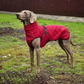 ASMPET Dog Winter Jacket: Ultimate Warmth and Style for Your Pup!