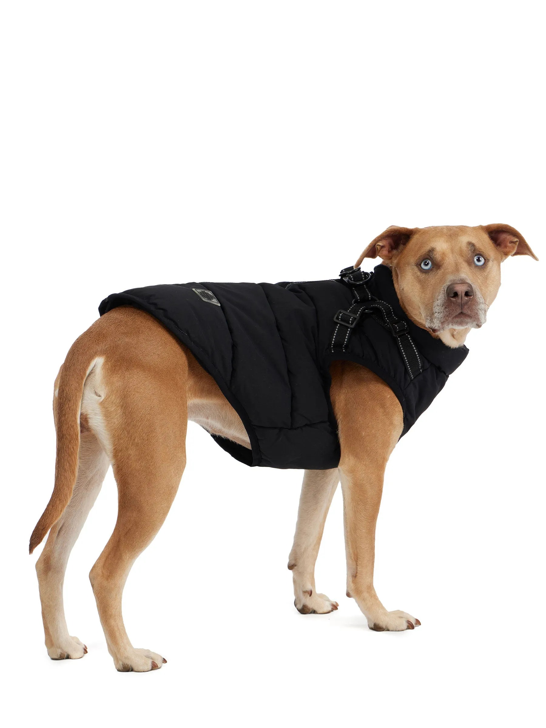 Atlas Puffer Jacket with Built-In Harness for Dogs