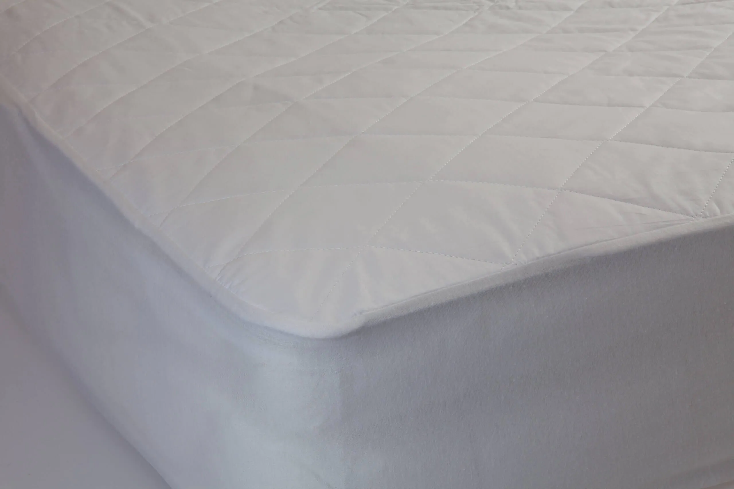 Basics Cotton Mattress Protector by Bambi