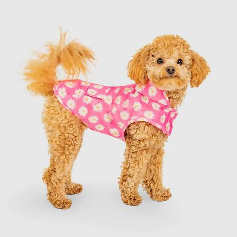 Canada Pooch Pick Me Rain Poncho Daisy