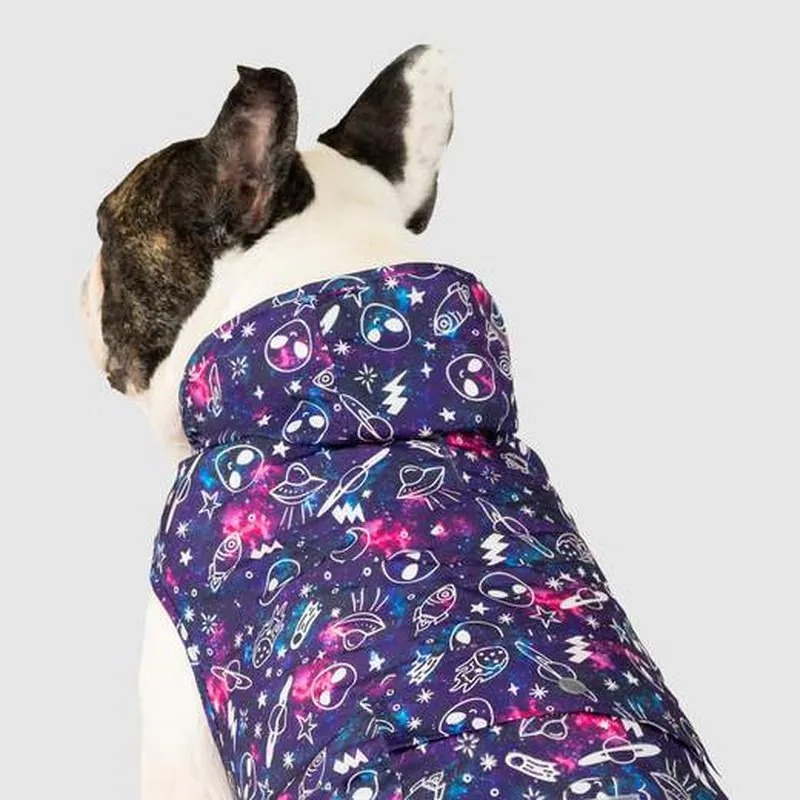 Canada Pooch Pick Me Rain Poncho Glow in the Dark