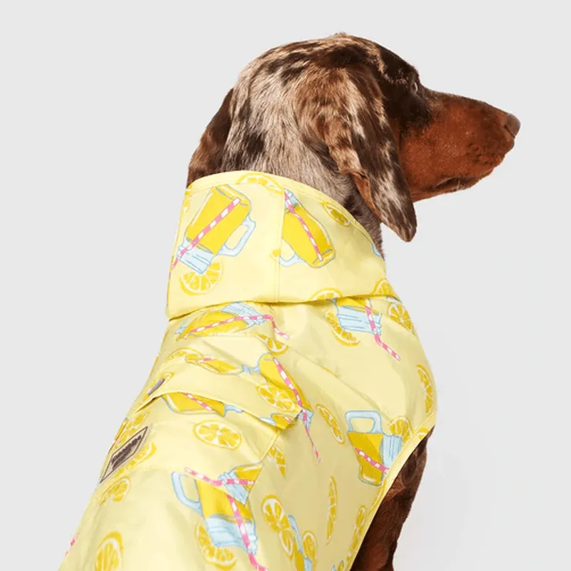 Canada Pooch Pick Me Rain Poncho Lemonade