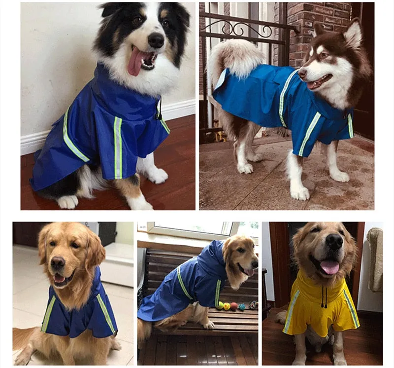 Rain Poncho for Dogs