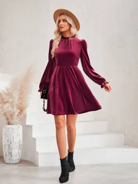 Wine Mock Neck Velvet Dress